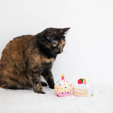 Load image into Gallery viewer, Cat Sitting Next To Birthday Cake Catnip Cat Toy