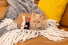 Load image into Gallery viewer, ZippyClaws Catnip Crusherz - Rosé