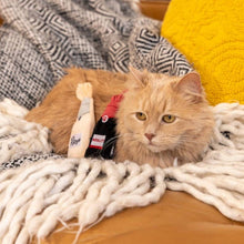Load image into Gallery viewer, Cat Sitting Next To ZippyClaws Catnip Crusherz Merlot Catnip Toy