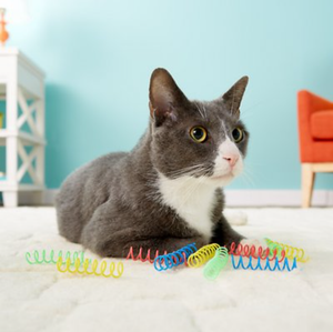 Ethical Pet Colorful Springs Cat Toy (Happy Cat)