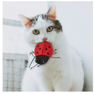 Cat Holding a Ethical Pet Buzzing Insect Cat Toy In It's Mouth