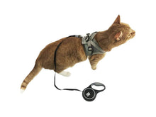 Load image into Gallery viewer, &quot;The Captain&quot; Retractable Leash for Cats