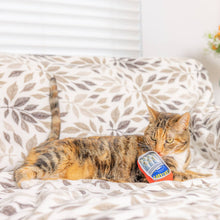 Load image into Gallery viewer, Kitty Smelling Huxley &amp; Kent  - Sardine Tin For Cats Catnip Toy