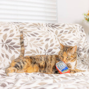 Kitty Smelling Huxley & Kent  - Sardine Tin For Cats Catnip Toy