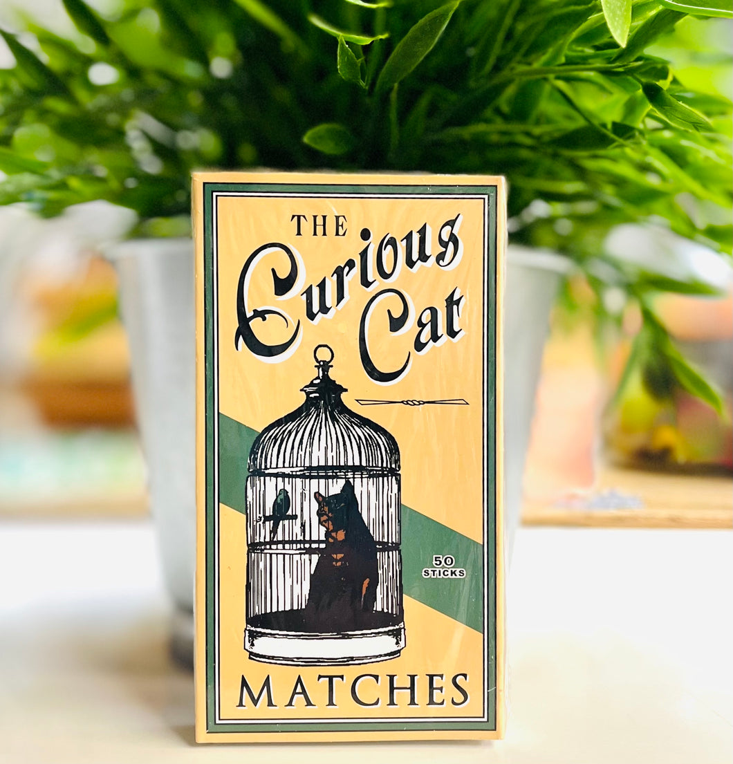 Cat Matches - Curious Cat