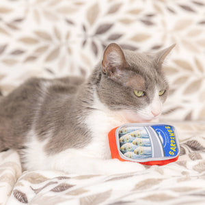 Cat Smelling Huxley & Kent - Sardine Tin For Cats Catnip Toy