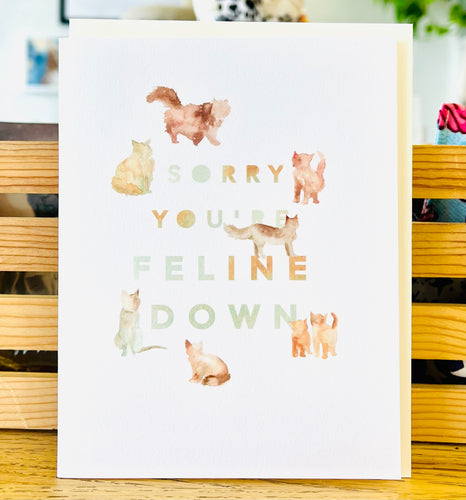 Sorry You're Feline Down Sympathy Cat Card