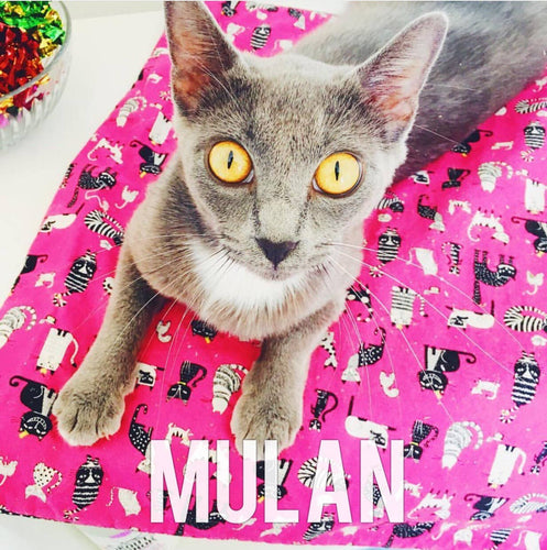For Mew Catnip Mat